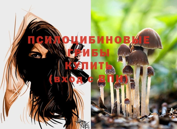 MESCALINE Нязепетровск