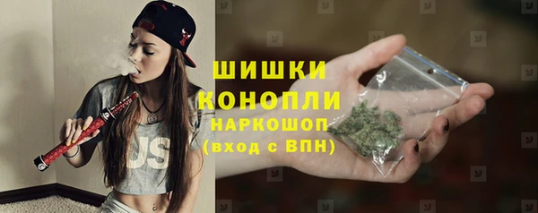 прущие грибы Нягань