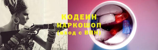 прущие грибы Нягань