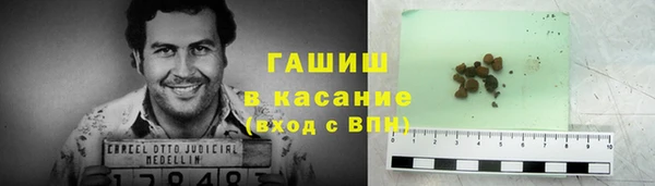 прущие грибы Нягань