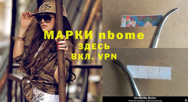 прущие грибы Нягань