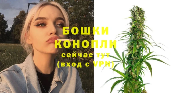 прущие грибы Нягань