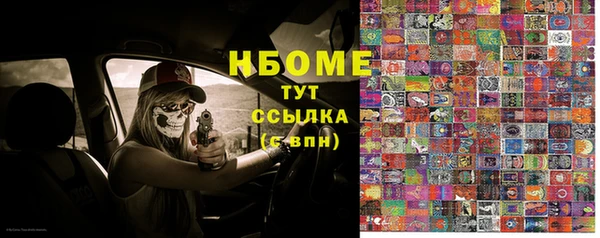 прущие грибы Нягань